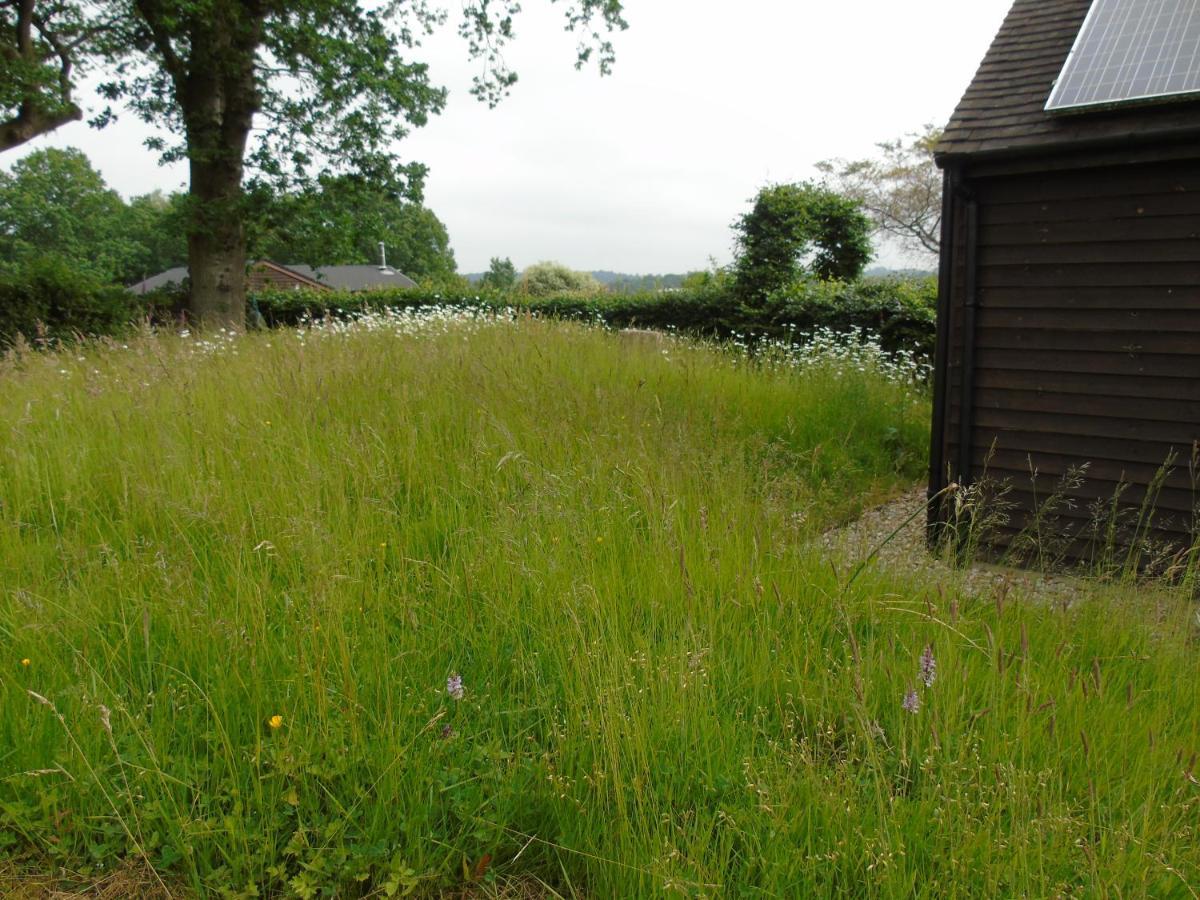 Bond'S Cottage Barn Royal Tunbridge Wells Zewnętrze zdjęcie